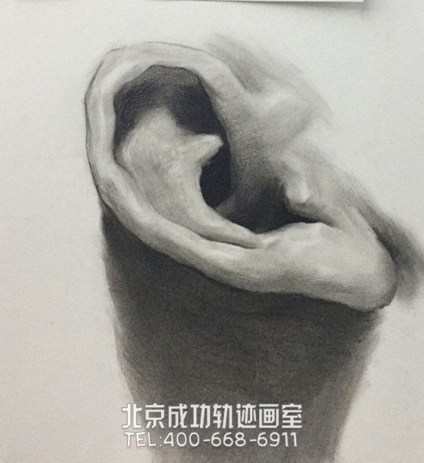 素描耳朵的畫(huà)法圖解