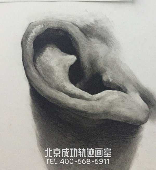 素描耳朵的畫(huà)法圖解