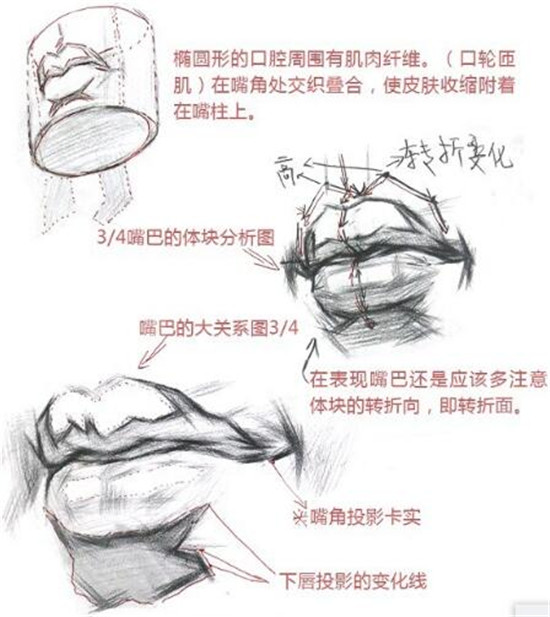 素描入門：素描嘴巴精講教程